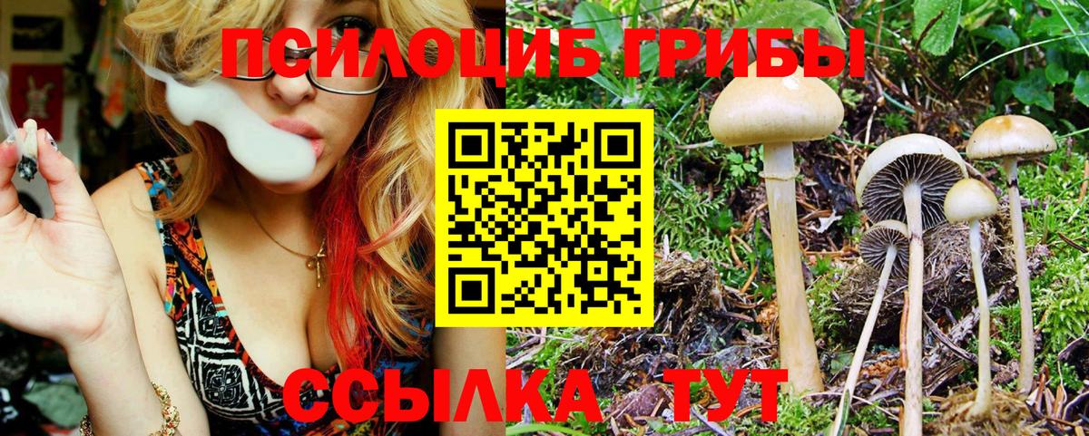 Галлюциногенные грибы мицелий Протвино
