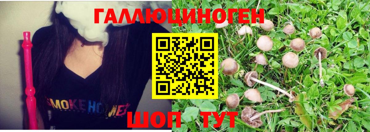 Протвино  Галлюциногенные грибы Magic Shrooms  Вход с VPN 